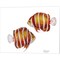 Ocean- Peppermint Angelfish by Meg Padgett 20" x 16" Canvas Wall Art